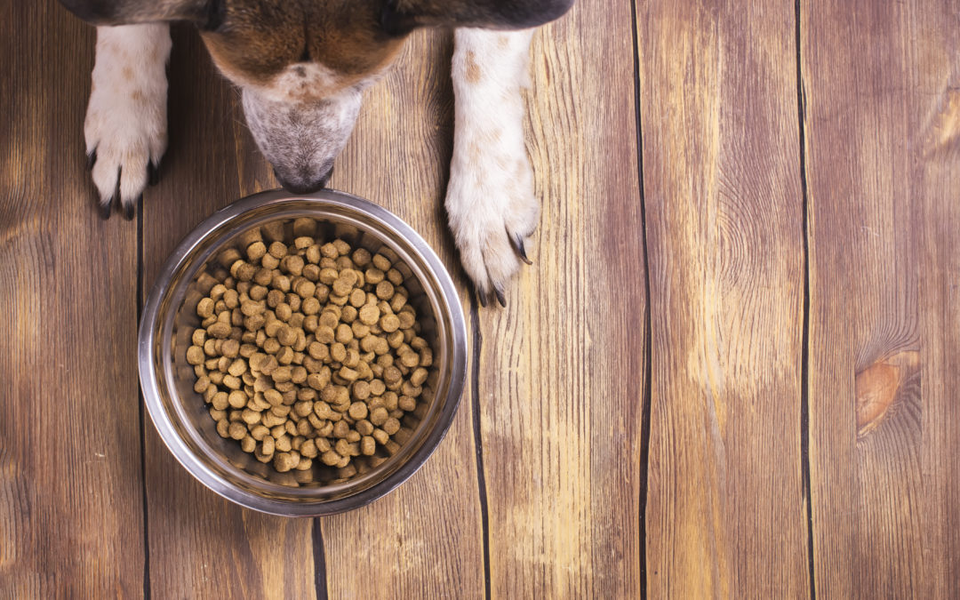 Case Study: Leading Pet Food Producer Wanted to Increase Operational Efficiency by Upgrading Controls to Critical Retort Basket Handling and Tracking System